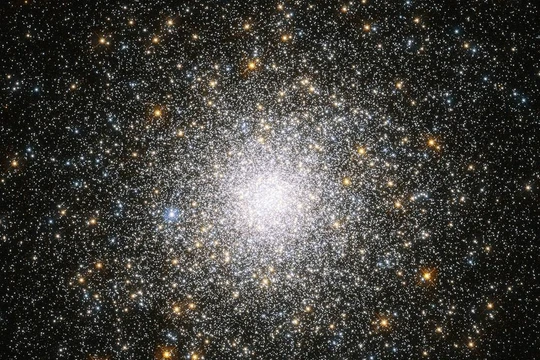 Ảnh: News Info Park