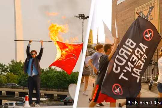 Phong trào Bird Aren't Real nổi lên khi người dân Mỹ cho rằng chính phủ đang sử dụng những con chim robot để theo dõi họ (Ảnh: Unilad)