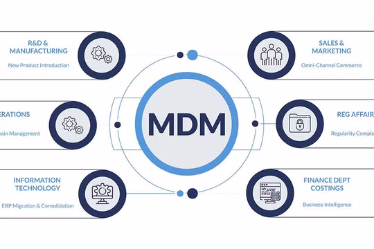 MDM - quản lý dữ liệu chủ (Ảnh: FR)