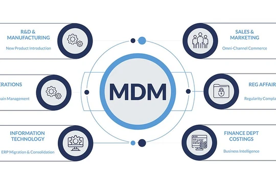 MDM - quản lý dữ liệu chủ (Ảnh: FR)