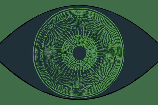 Phương pháp mới giúp cải thiện thị lực cho người khiếm thị (Ảnh: Technology Review)