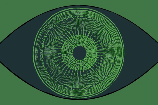 Phương pháp mới giúp cải thiện thị lực cho người khiếm thị (Ảnh: Technology Review)