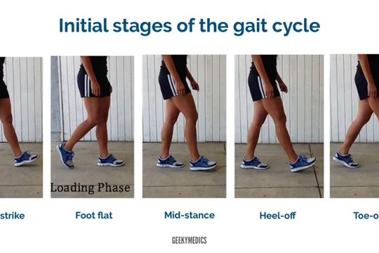 Liệu dáng đi có phải là điểm đặc trưng duy nhất trên mỗi cá thể con người (Ảnh: Scienceabc)