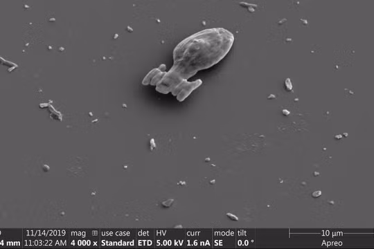 Tàu vũ trụ in 3D siêu nhỏ (Ảnh: CNN)