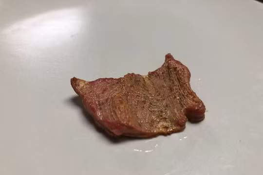 Miếng bít tết in 3D của công ty NovaMeat (Ảnh: NovaMeat)