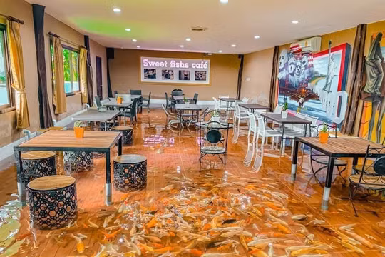 Quán cafe độc đáo tại Thái Lan (Ảnh: OC)