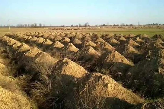 Thành phố tại Ukraina đào hàng trăm ngôi mộ để dọa người dân (Ảnh: OC)