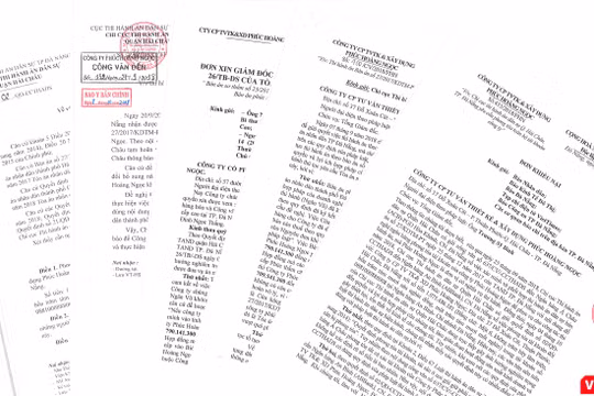 Theo Công ty Phúc Hoàng Ngọc, việc Chi cục thi hành án dân sự quận Hải Châu (Đà Nẵng) ra các quyết định phong tỏa toàn bộ tài khoản công ty trái với quy định tại Khoản 2, Điều 67 Luật thi hành án dân sự 2008 rất khó hiểu, nên cần được tháo dỡ.