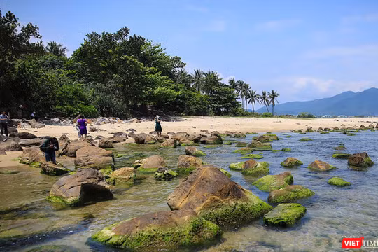 Đà Nẵng đã rà soát điều chỉnh quy hoạch dự án Khu du lịch sinh thái Nam Ô do Tập đoàn Trung Thủy làm chủ đầu tư từ 36ha chỉ còn 26ha. Tách ghềnh Nam Ô ra khỏi phạm vi dự án để bảo tồn khu vực sinh thái công cộng.