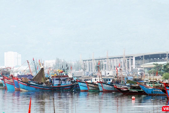 Chính phủ vừa ban hành Nghị định 17/2018/NĐ-CP sửa đổi, bổ sung một số điều của Nghị định số 67/2014/NĐ-CP ngày 07/7/2014 của Chính phủ về một số chính sách phát triển thủy sản với nhiều chính sách hỗ trợ nhằm đẩy mạnh phát triển thủy sản