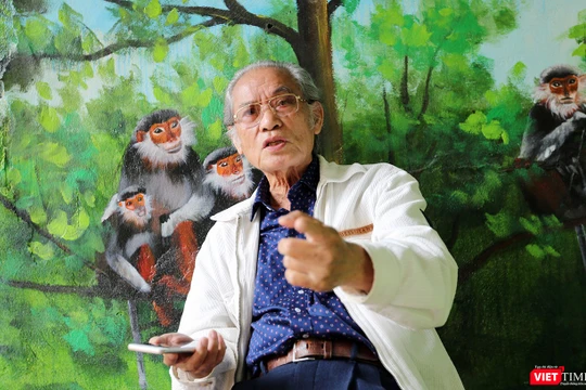 Theo ông Hồ Duy Diệm, Chủ tịch Hội Bảo vệ Lưu vực và dải biển Việt Nam, nguyên Phó chủ tịch Hội quy hoạch TP Đà Nẵng, những sai lầm đã biến Đà Nẵng thành một thành phố buôn đất, cò đất, xẻ thịt đất ra để bán