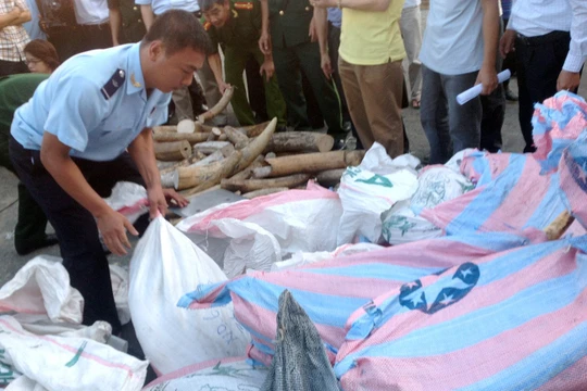 Nhà chức trách đang kiểm tra lô hàng.