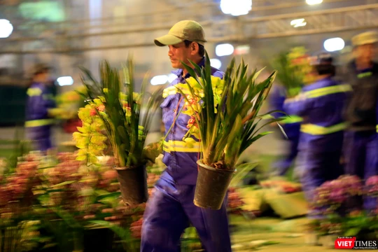Chủ vườn lan đã bất ngờ tặng các anh chị lao công những giò lan tiền triệu là hình ảnh đẹp sau đêm giao thừa ở Đà Nẵng