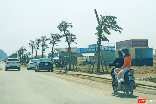 Có 8 sàn giao dịch BĐS tại Đà Nẵng đã chấm dứt hoạt động
