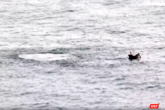 Sáng 31/3, nhiều người mê ảnh đã bất ngờ khi chứng kiến cảnh một chiếc thuyền không có số hiệu dùng mìn đánh cá ngay dưới chân rạn san hôn dưới chân núi Sơn Trà.