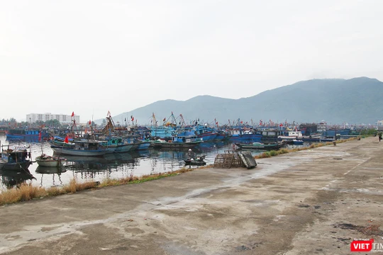 Thủ tướng Chính phủ vừa đồng ý dừng thực hiện Dự án đầu tư xây dựng tuyến luồng vào Khu bến cảng Thọ Quang, Cảng biển Đà Nẵng.