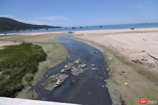 Nước thải ô nhiễm, hôi thối đầu độc biển Đà nẵng