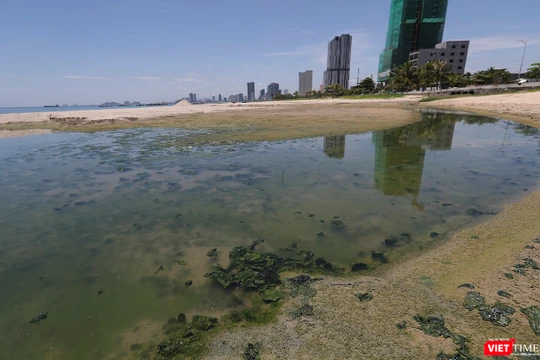 Cận cảnh một cống xả nước thải ra biển Đà Nẵng trên địa bàn Sơn Trà