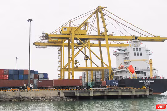 Chính phủ yêu cầu khẩn trương thẩm định nguồn vốn đầu tư cảng Liên Chiểu (Đà Nẵng).