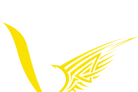 V Gaming Adonis hứa hẹn sẽ đem lại làn gió mới cho VCS