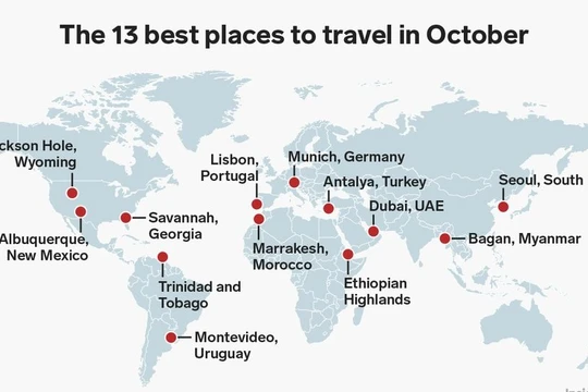 (ảnh minh họa: Business Insider)