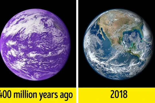 Ảnh minh họa: BrightSide 