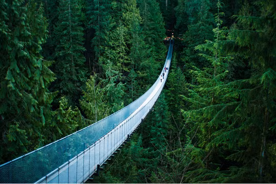 Ảnh minh họa: BrightSide