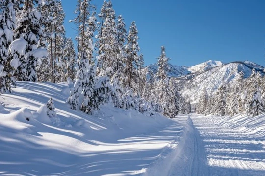 Ảnh: Business Insider