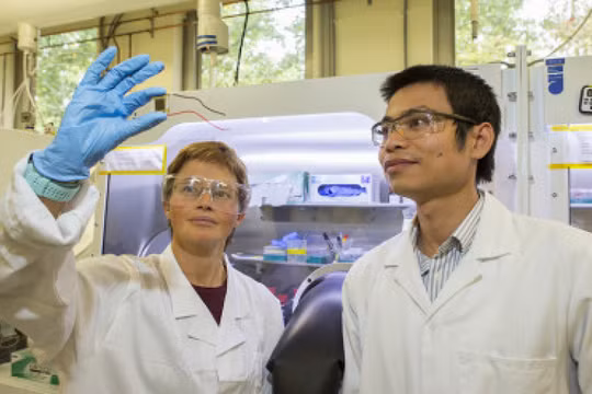 GS Kylie Catchpole và TS The Duong thuộc Đại học Quốc gia Úc với tế bào PV song song perovskite-silicon. Ảnh pv magazine.