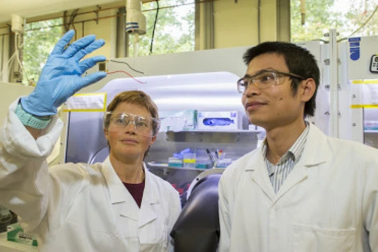 GS Kylie Catchpole và TS The Duong thuộc Đại học Quốc gia Úc với tế bào PV song song perovskite-silicon. Ảnh pv magazine.