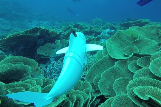 Cá robot AI giám sát môi trường đáy biển. Ảnh Euronews.next