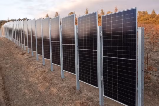 Pin điện mặt trời thẳng đứng hai chiều dành cho nông nghiệp của công ty Sunstall, Mỹ. Ảnh Engineering Interesting