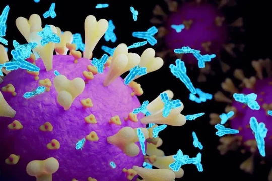 Các kháng thể trung hòa, được mô tả bằng màu xanh lam nhạt chống virus SARS-CoV-2 trong mẫu máu. Ảnh: iStock