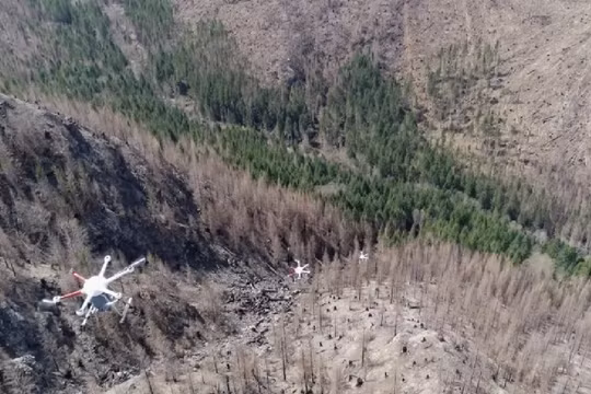 Mast Reforestation cung cấp dịch vụ gieo hạt trên không, nhưng UAV chỉ là một phần trong hoạt động kinh doanh “trồng rừng như một dịch vụ”. Ảnh CNBC