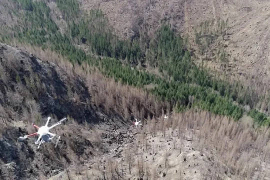 Mast Reforestation cung cấp dịch vụ gieo hạt trên không, nhưng UAV chỉ là một phần trong hoạt động kinh doanh “trồng rừng như một dịch vụ”. Ảnh CNBC