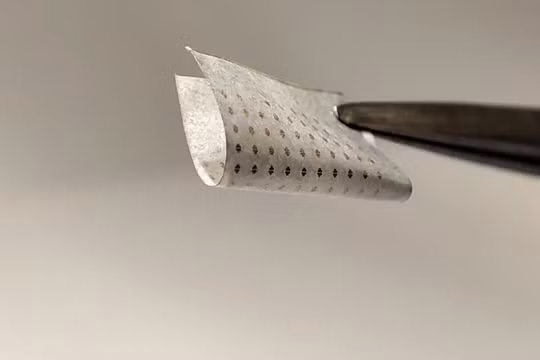 Cảm biến quang hồng ngoại lưới nano tellurium giá rẻ, được chế tạo trên giấy. Ảnh: TS Meng You, Đại học Thành phố Hồng Kông.