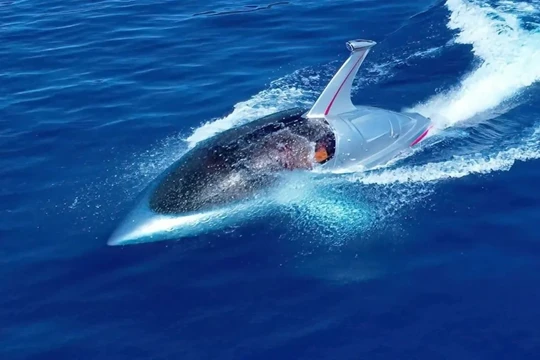 Jet Shark - xuồng thể thao du lịch phản lực tốc độ cao bán chìm. Ảnh Rob Innes.