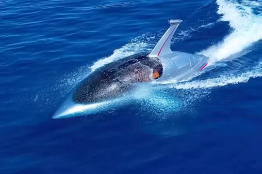 Jet Shark - xuồng thể thao du lịch phản lực tốc độ cao bán chìm. Ảnh Rob Innes.