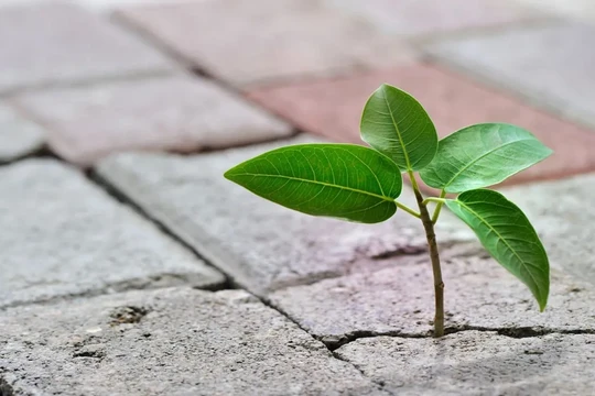 Bê tông bền vững. Ảnh minh họa Engineering Interesting. 