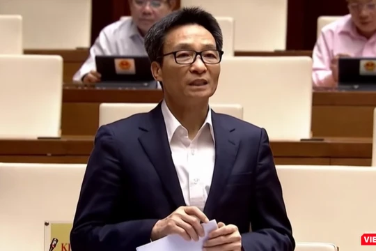 Phó Thủ tướng Vũ Đức Đam giải trình trước Quốc hội.