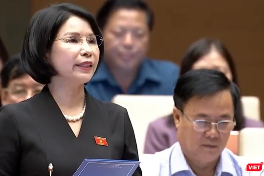 ĐB Trần Thị Nhị Hà cho rằng đây là dự án luật khó, tác động đến các lĩnh vực kinh tế, đời sống xã hội, đặc biệt đến công tác chăm sóc sức khỏe nhân dân.