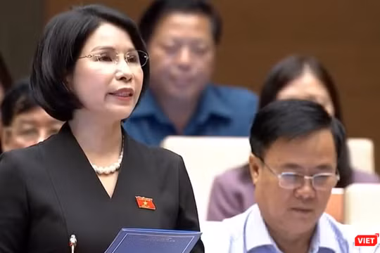 ĐB Trần Thị Nhị Hà cho rằng đây là dự án luật khó, tác động đến các lĩnh vực kinh tế, đời sống xã hội, đặc biệt đến công tác chăm sóc sức khỏe nhân dân.