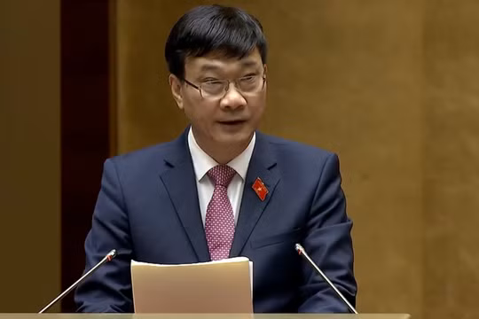 Chủ nhiệm Ủy ban Kinh tế của Quốc hội Vũ Hồng Thanh.