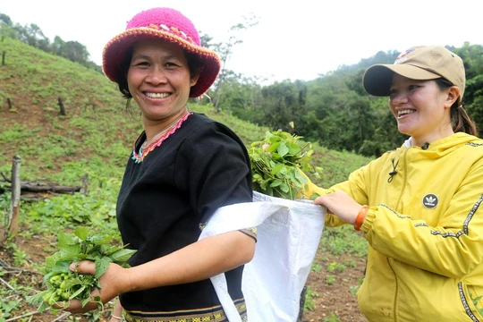 15.000 người dân, trong đó có 7.000 phụ nữ - chủ yếu là phụ nữ Êđê sẽ được tiếp cận với thương mại điện tử.
