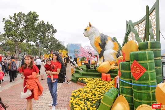 Linh vật mèo tại đường hoa xuân Đà Nẵng Tết Quý Mão