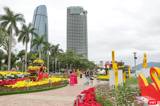 Đường hoa xuân Bạch Đằng (Đà Nẵng), đoạn tại cầu Chữ T