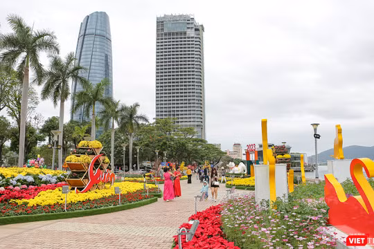 Đường hoa xuân Bạch Đằng (Đà Nẵng), đoạn tại cầu Chữ T