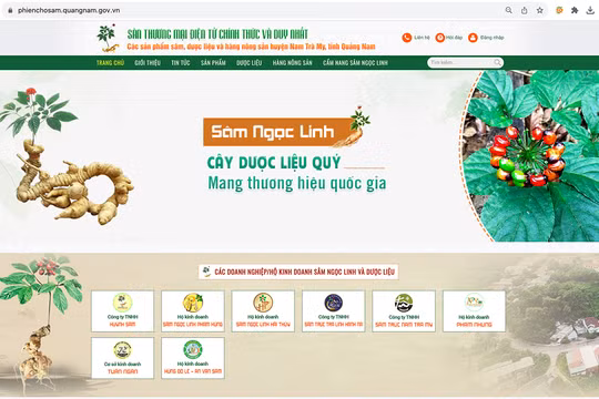 Giao diện sàn thương mại điện tử chuyên quảng bá về sâm Ngọc Linh và các sản phẩm dược liệu, nông sản đặc trưng trên địa bàn tỉnh Quảng Nam