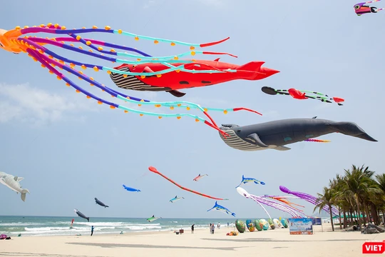 Sẽ có hơn 100 loại diều nghệ thuật đến từ 12 quốc gia sẽ tham gia lễ hội diều quốc tế Quảng Nam 2024
