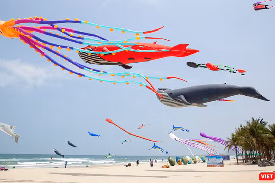 Sẽ có hơn 100 loại diều nghệ thuật đến từ 12 quốc gia sẽ tham gia lễ hội diều quốc tế Quảng Nam 2024